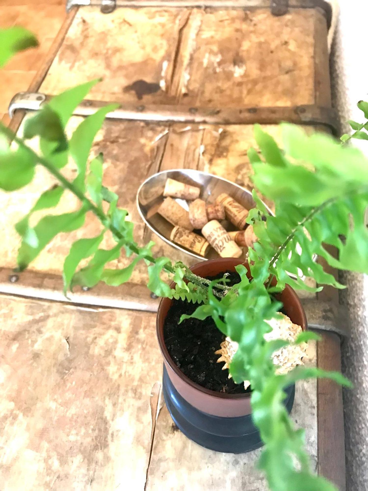 Kojsko Enam Room מראה חיצוני תמונה
